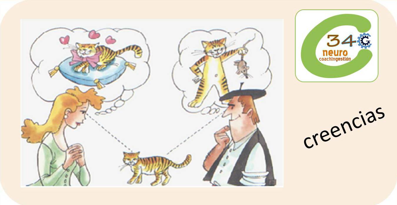 Francisco Ramos Neurocoach 340